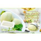 ふるさと納税 【数量限定】ピスタチオ ジェラート 2.5リットル【大容量 アイス 業務用 訳あり スイーツ 人気 デザート 冷凍 氷菓子 2.5L 家族 フ.. 山口県周南市