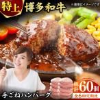 手ごね 特上 ハンバーグ 10個