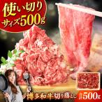 切り落とし 500g