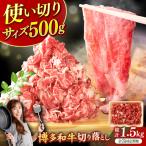切り落とし500g