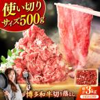 切り落とし500g