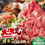 切り落とし 1000g