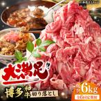 切り落とし 1000g