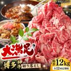 切り落とし 1000g