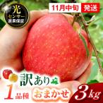 りんご 約3kg