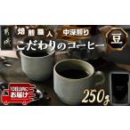 ふるさと納税 焙煎職人こだわりのコーヒー【豆】250g 小分けパック(ジッパー・バルブ付) ※中深煎り※ポスト投函≪みやこんじょ特急便≫_LA-3303.. 宮崎県都城市