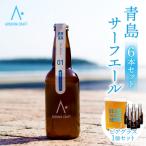 クラフトビール ビール 青島 サーフエール 6本 ビアグラス 1個 セット
