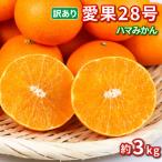 訳あり みかん 愛果28号 まどんな ハウス栽培 約3kg