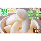 梨 特選 5kg