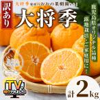 訳あり ご おおの果樹園の大将季 計2kg