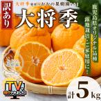 訳あり ご おおの果樹園の大将季 計5kg
