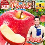 りんご サンふじ 約3kg