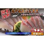 ふるさと納税 ヒラス 800g〜1.2kg ひらまさ 刺身A446 長崎県佐世保市