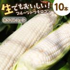 とうもろこし ホワイトコーン 10本