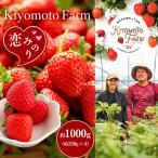 熊本たまな産 イチゴ 恋みのり 約1000g