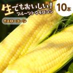 とうもろこし イエローコーン 10本