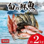 旬の鮮魚 約 2kg
