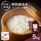 令和8年産 特別栽培米コシヒカリ 丹後椿