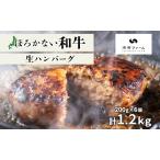 ハンバーグほろかない和牛 黒毛和牛 牛肉ハンバーグ