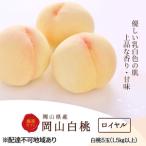 桃 2027年 白桃 5玉