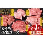 宮崎牛堪能コース ヒレ モモスライス 赤身ステーキ