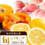 紀州和歌山産旬のフルーツセット あんぽ柿