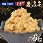 味噌 訳あり 麦味噌 約 6kg