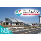 CT-21 観光物産館 こいこい お買物6,000円分