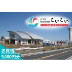 CT-22 観光物産館 こいこい お買物9,000円分