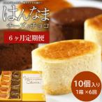 H-31 はんなまチーズ5個 はんなまちょこ5個