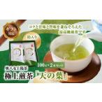 奥八女上陽茶 極上煎茶 天の葉 100g×2本セット箱