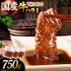 ハラミ 牛肉 焼肉 特製 たれ漬 サガリ 750g