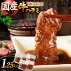 ハラミ 牛肉 焼肉 特製 たれ漬 サガリ 1.25kg