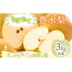 ふるさと納税 【先行予約】【豊水梨】3kg前後 (5~8個) もぎたて！たっぷり果汁の新鮮な梨をお届け！【2026年8月下旬以降順次発送予定】【梨 なし.. 福井県坂井市