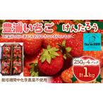 ふるさと納税 【2025.4月下旬以降出荷】豊浦いちご 250g×4パック 【 ふるさと納税 人気 おすすめ ランキング 果物 いちご苺 イチゴ 国産.. 北海道豊浦町