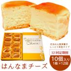 H-35 はんなまチーズ10個入り1箱