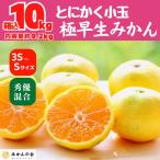 甘夏 玉ぞろい 箱込 10kg