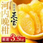 ふるさと納税 【愛媛�