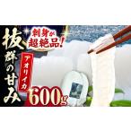 対馬産 アオリイカ 600g