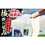 対馬産 アオリイカ 1kg