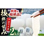 剣先 イカ 刺身 セット 2kg
