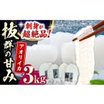 対馬産 アオリイカ 3kg烏賊 いか 刺身 冷凍