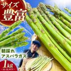 朝採れアスパラガス1kg 冷蔵 アスパラ