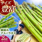 朝採れアスパラガス2kg 冷蔵 アスパラ
