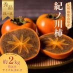 紀ノ川柿 約 2kg