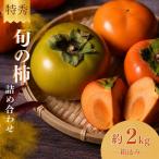 旬の柿 詰め合わせ 2kg