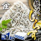 しらす 1kg