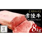 常陸牛 A5 等級 サーロイン ブロック 8kg