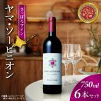 ヤマ ソービニオン 6本セット