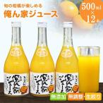 季節毎の柑橘ジュース500ml×12本セット